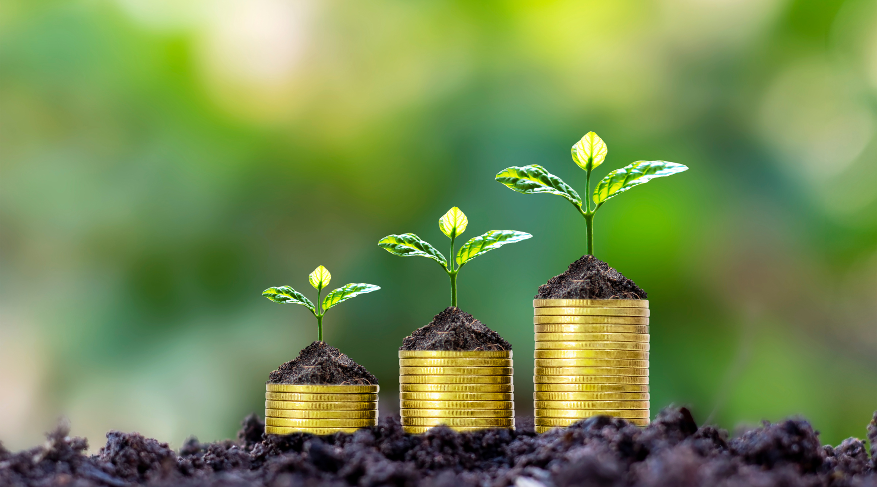 Advisory Services for Nonprofits