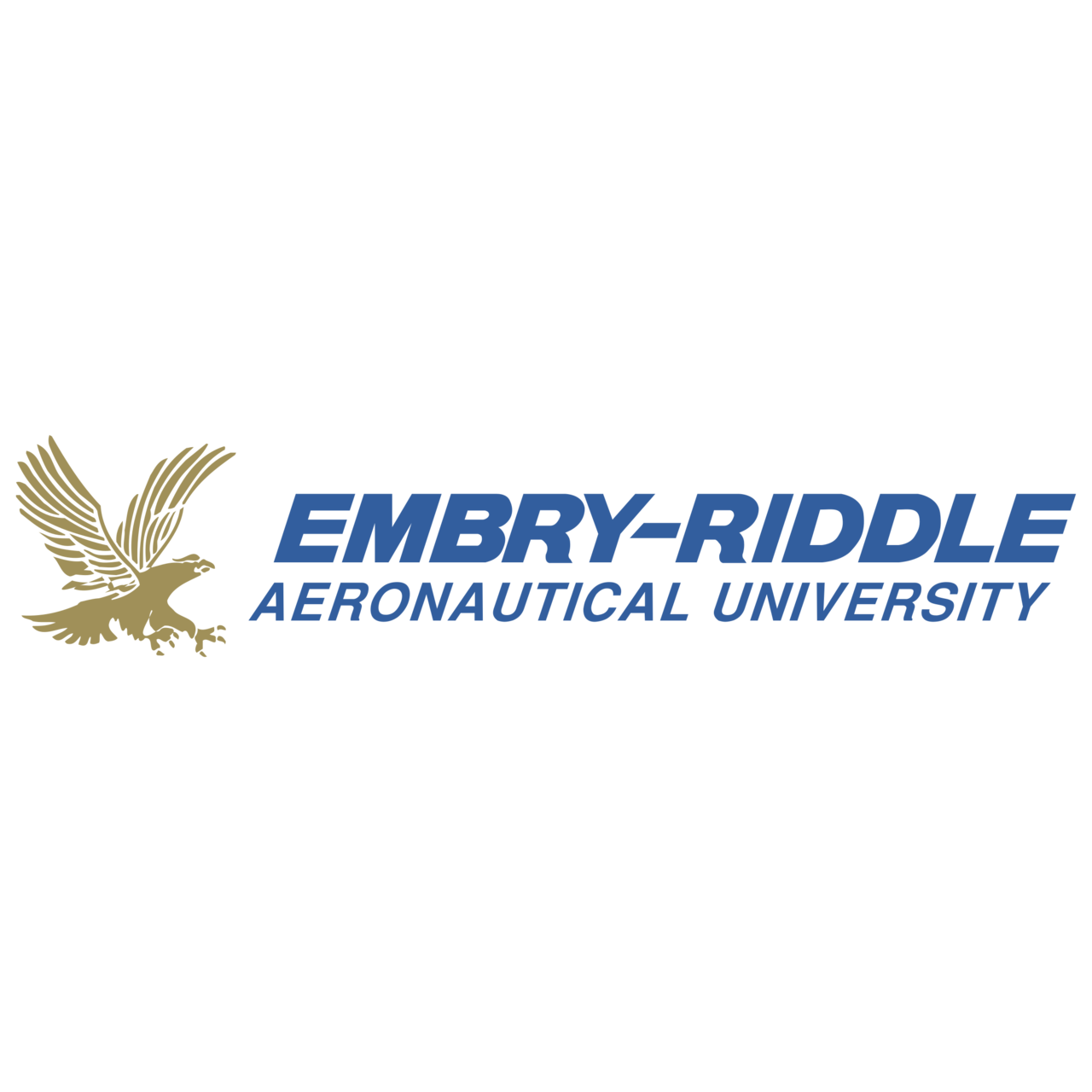 embry-riddle-aeronautical-university-logo